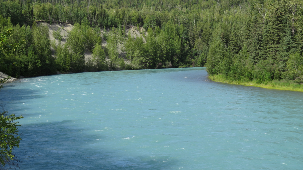 Kenai River