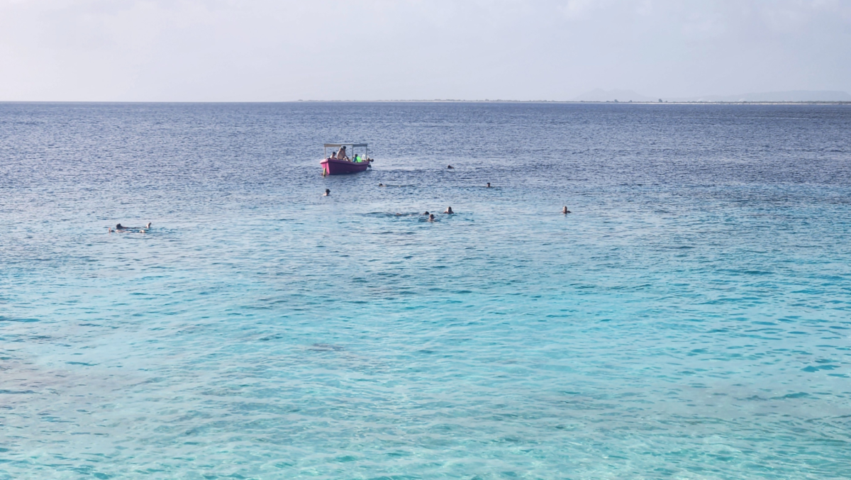 Snorkeler in clear turquoise water at Bachelor’s Beach in Bonaire – top Caribbean spot for swimming and marine life