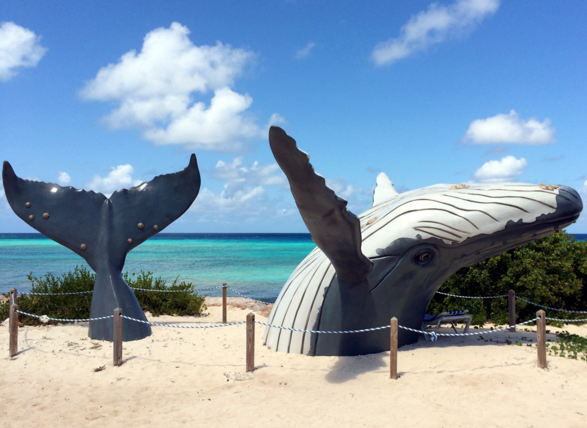 Humpback Whale Monument at Grand Turk, Turks and Caicos – iconic photo spot near cruise port on Caribbean island
