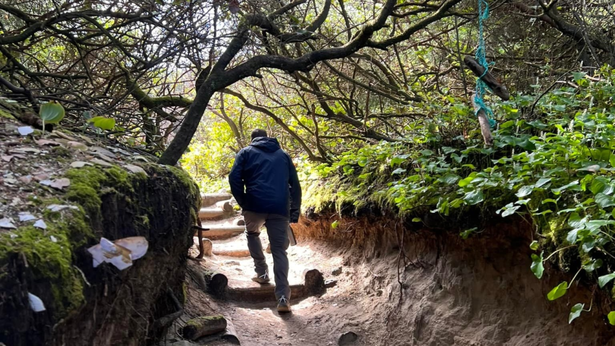 Hiker walking through Hobbit Beach Trail near Florence Oregon