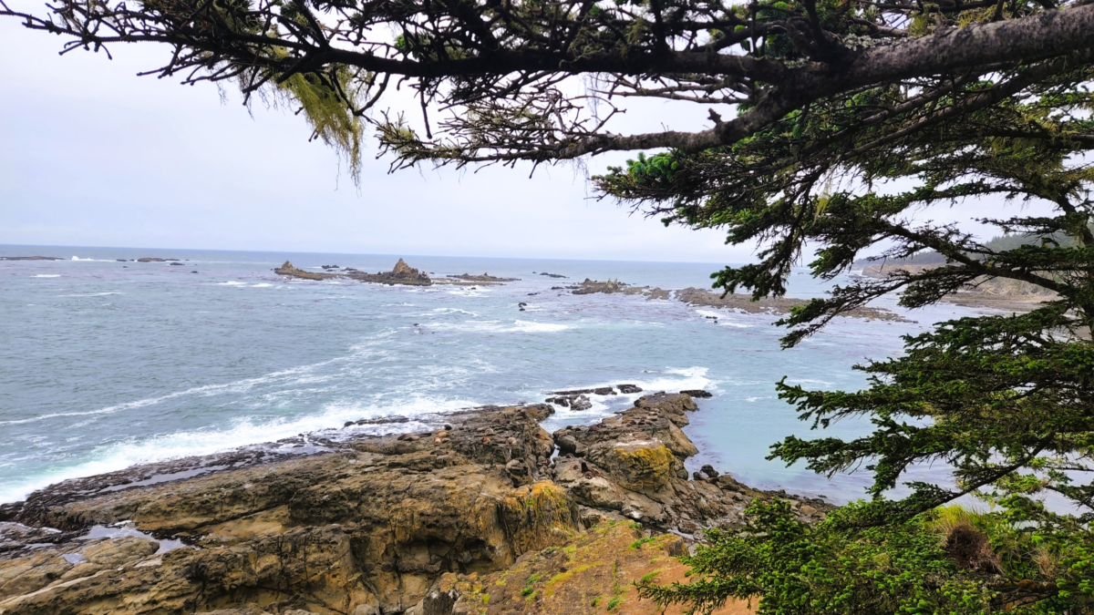 Port Orford Heads State Park coastline view Oregon