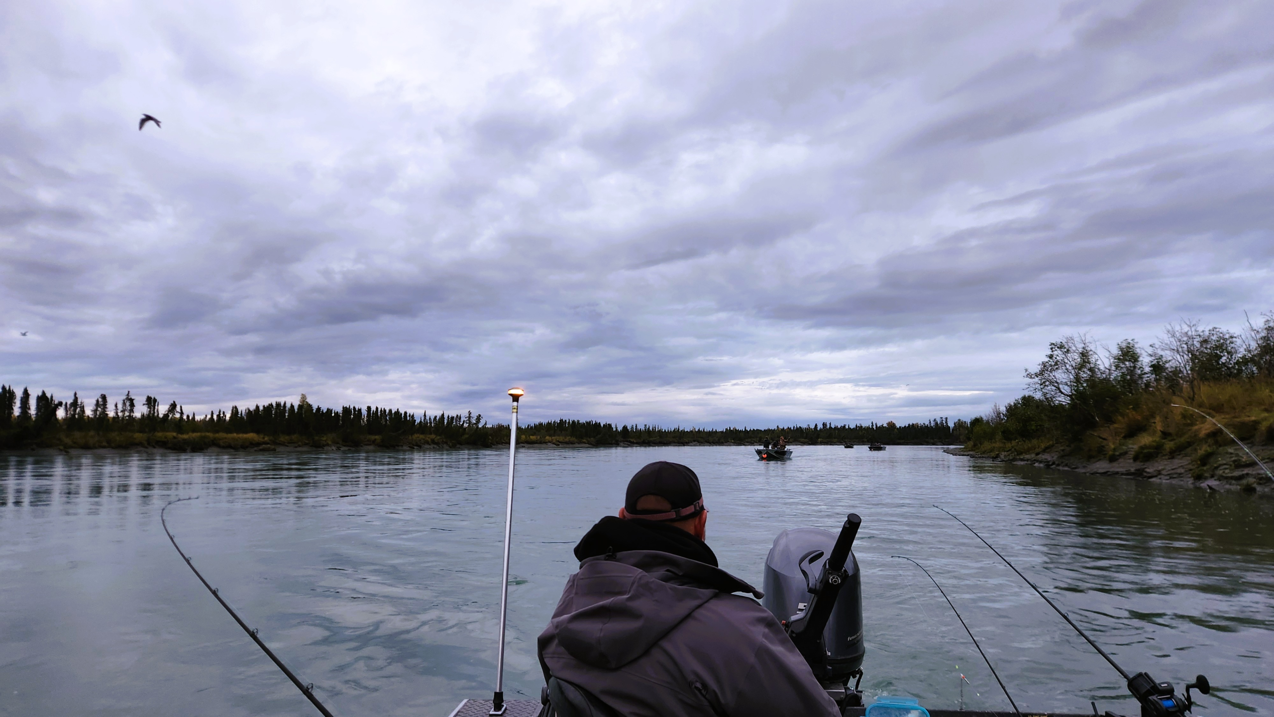Angler on a guided fishing trip along the Kenai River in Alaska, viewed from the back of the boat at sunrise with rods ready for salmon fishing. Kenai River Fishing Guides