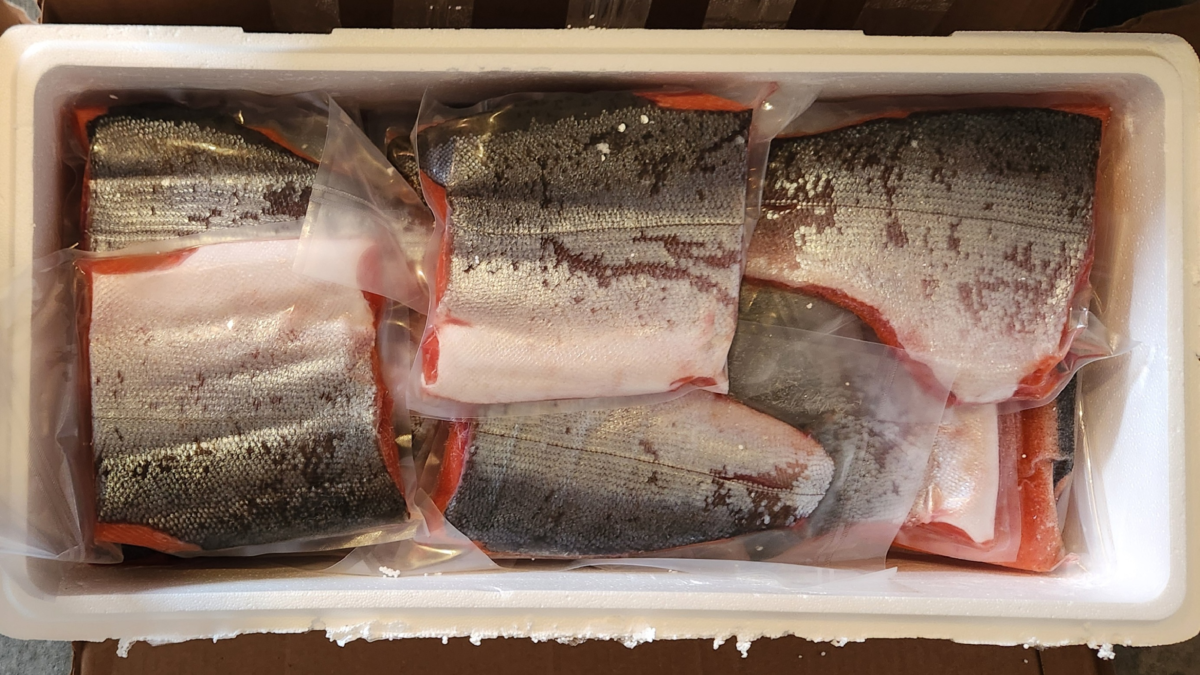 Vacuum-sealed frozen salmon fillets processed by King of the River in Alaska, packed and ready for shipment.