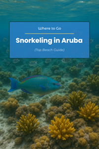 Snorkeling in Aruba guide showing top beaches for reefs and turtles