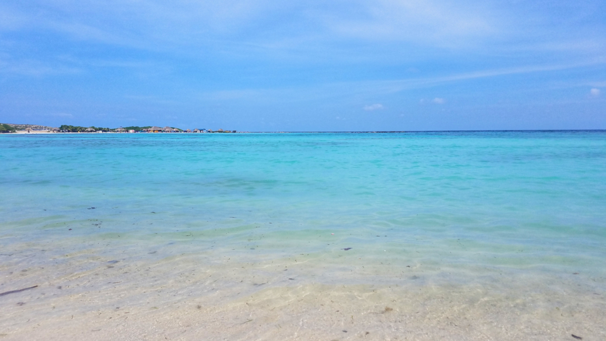 Shallow turquoise water at Baby Beach in Aruba with calm conditions ideal for snorkeling. beginner snorkeling Aruba