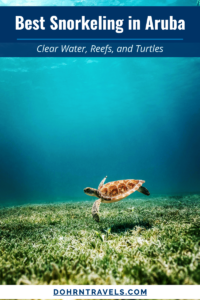 Best snorkeling in Aruba with clear water and colorful coral reefs
