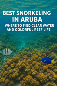 Colorful coral reef and tropical fish while snorkeling in Aruba