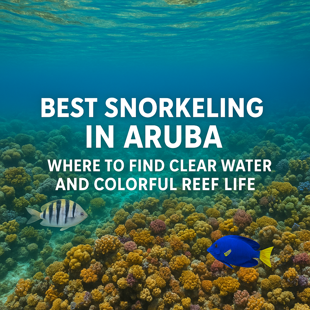 Colorful coral reef with tropical fish in clear water at one of the best Snorkeling in Aruba.