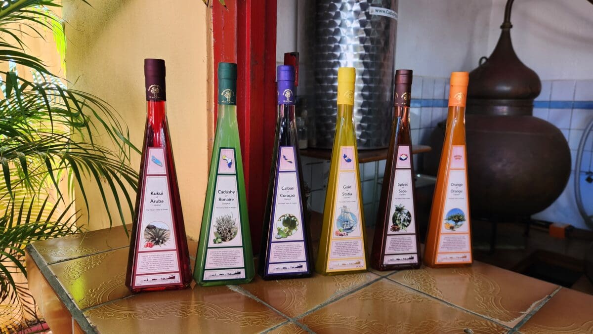 Colorful bottles of cactus liquor at Cadushy Distillery in Bonaire