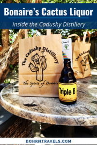 Bonaire cactus liquor tasting inside The Cadushy Distillery