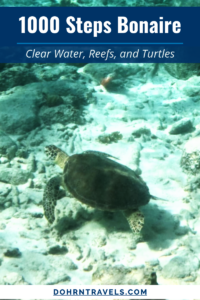 Sea turtle snorkeling at 1000 Steps Bonaire