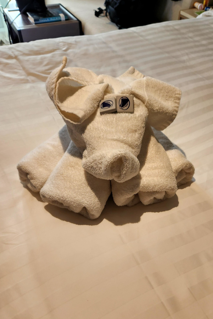 Holland America Rotterdam Towel Animal - Dohrn Travels Towel animal on bed during Holland America Rotterdam cruise in a Verandah cabin