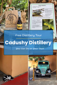 Free distillery tour at The Cadushy Distillery in Bonaire you can do on your own