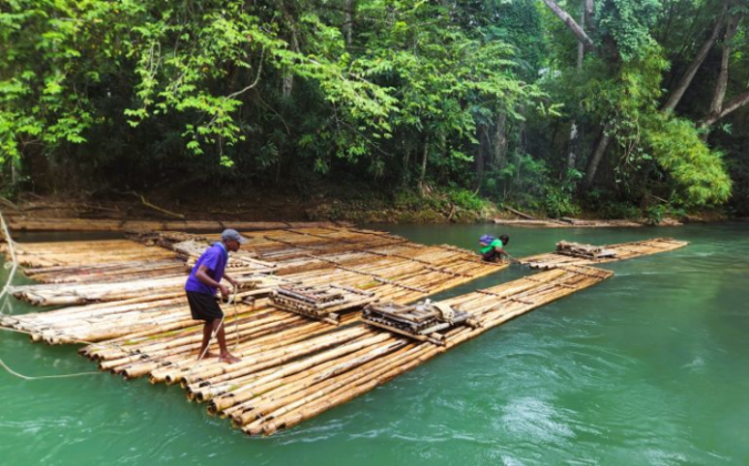 Two men are constructing a bamboo raft while standing in shallow water.