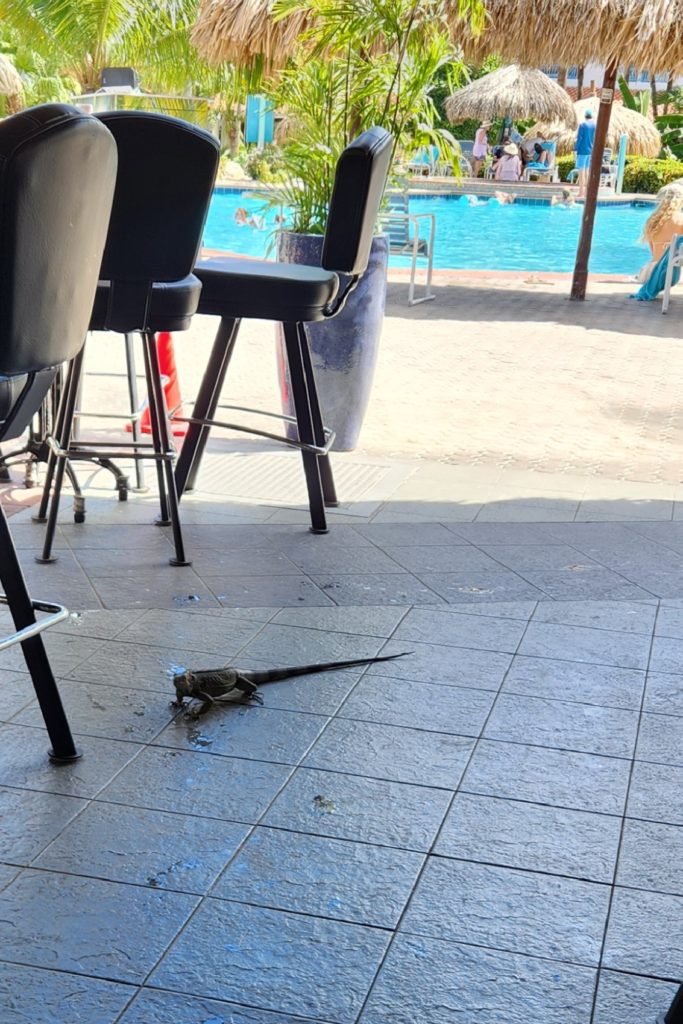 Pool area near Water’s Edge Restaurant at Costa Linda Beach Resort Aruba