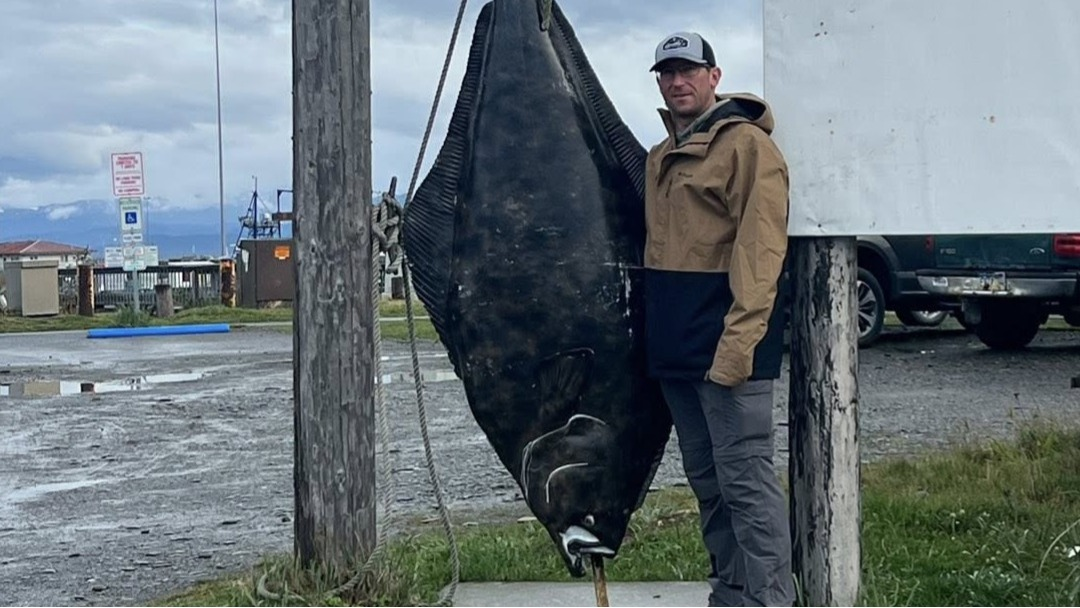angler holding large halibut in Homer Alaska after fishing trip on the Kenai Peninsula