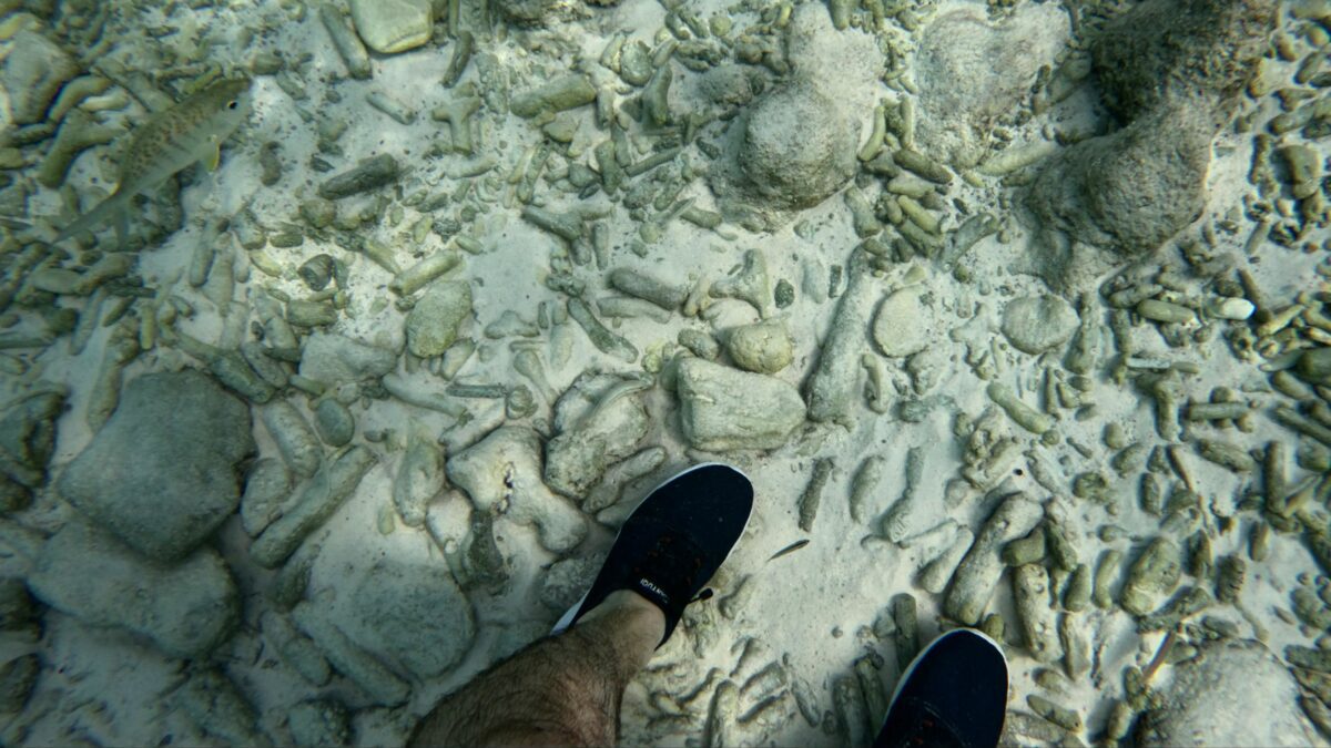 Water shoes standing on coral ocean floor at 1000 Steps Bonaire — why water shoes are essential for Caribbean cruise port days. Caribbean cruise packing tips