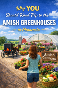 Why you should road trip to the Amish Greenhouses in Minnesota this spring — woman walking toward colorful greenhouse near St. Charles MN