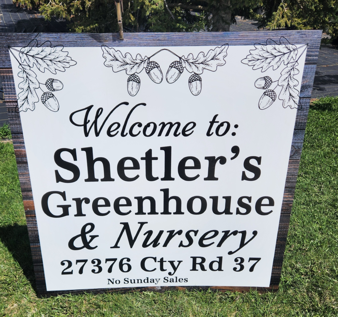 Welcome sign for Shetler's Greenhouse and Nursery at 27376 County Road 37 near Utica MN. Amish community St. Charles Minnesota