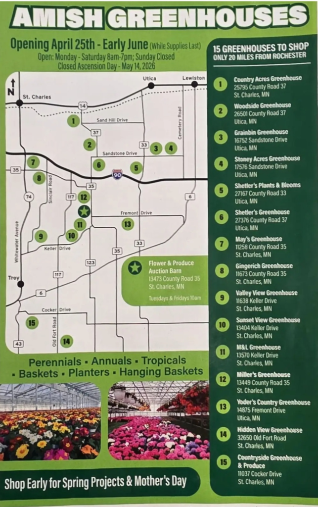 Map of Amish greenhouses near St Charles MN showing 15 greenhouse locations and routes from Rochester and surrounding areas. Amish greenhouse directory St Charles MN. Amish greenhouse hours and addresses. Amish greenhouse map St. Charles MN.  when do Amish greenhouses open St Charles MN. amish greenhouse near me