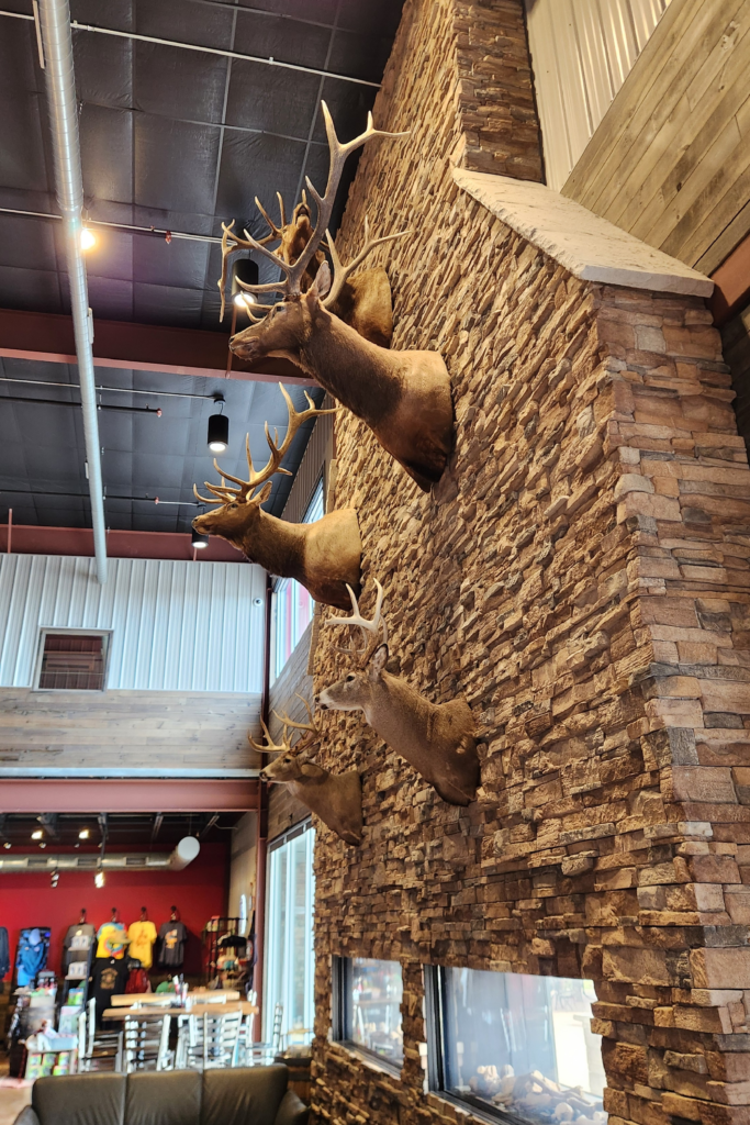 Stone fireplace wall with mounted elk and deer inside Toppling Goliath Brewing