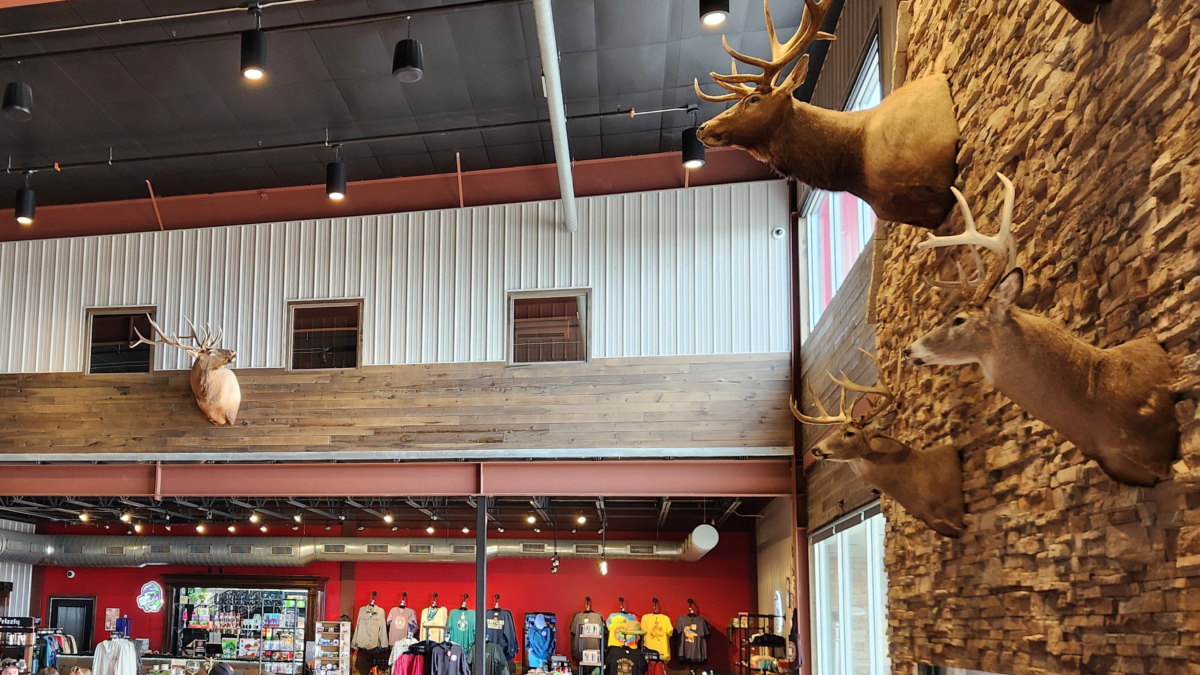 Mounted deer displays and gift shop area inside Toppling Goliath Brewing Co