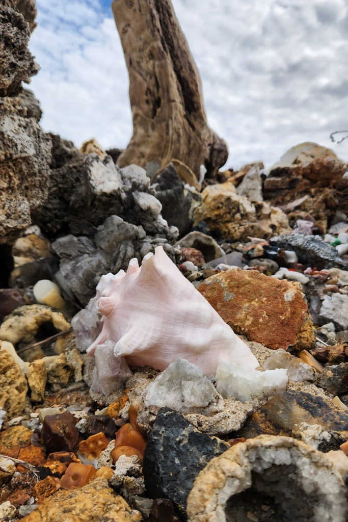Large pink seashell displayed among rocks at Dickeyville Grotto & Shrines