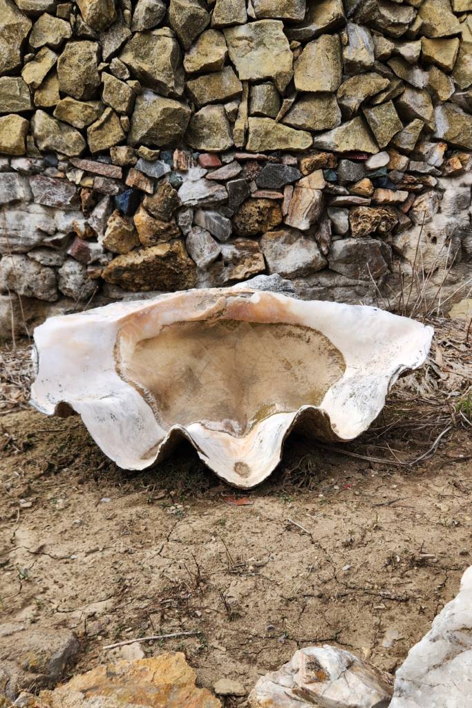 Large decorative clam shell beside a stone mosaic wall at Dickeyville Grotto