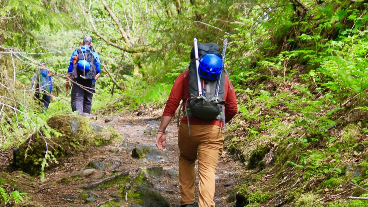 Guided hikers walking through forest terrain near Mendenhall Glacier