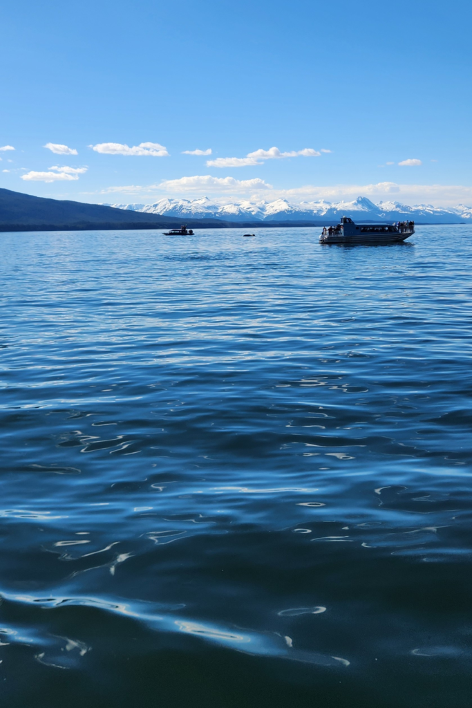 Wide blue lake with a tour boat on the right and distant snow-capped mountains under a clear sky.