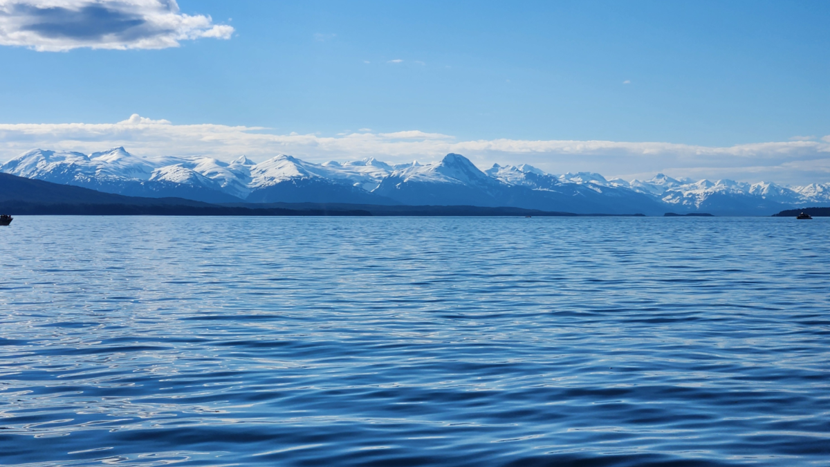 Snow-covered mountain range on the horizon over a calm blue sea under a clear sky, blue-toned scene. (informative)