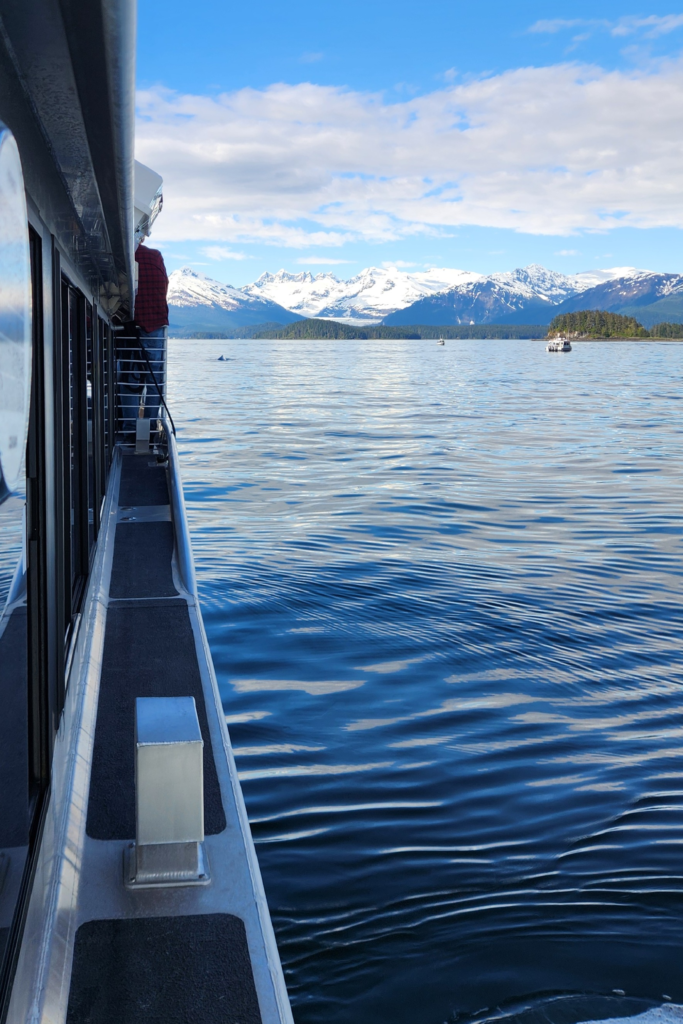 Side view from a boat deck showing a person leaning over the railing, calm blue water and snow-capped mountains in the distance.