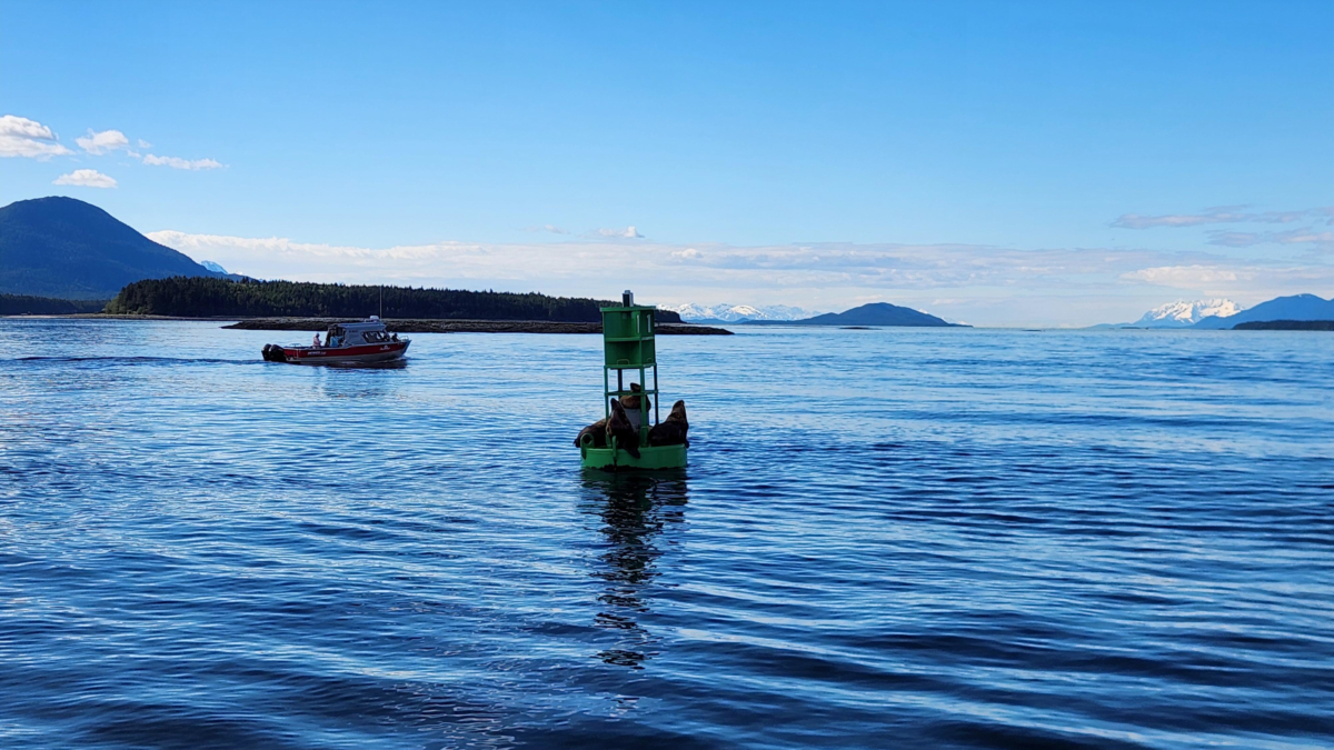 Green buoy in the foreground on calm blue water, with a small motorboat and distant snow-capped mountains under a clear sky.