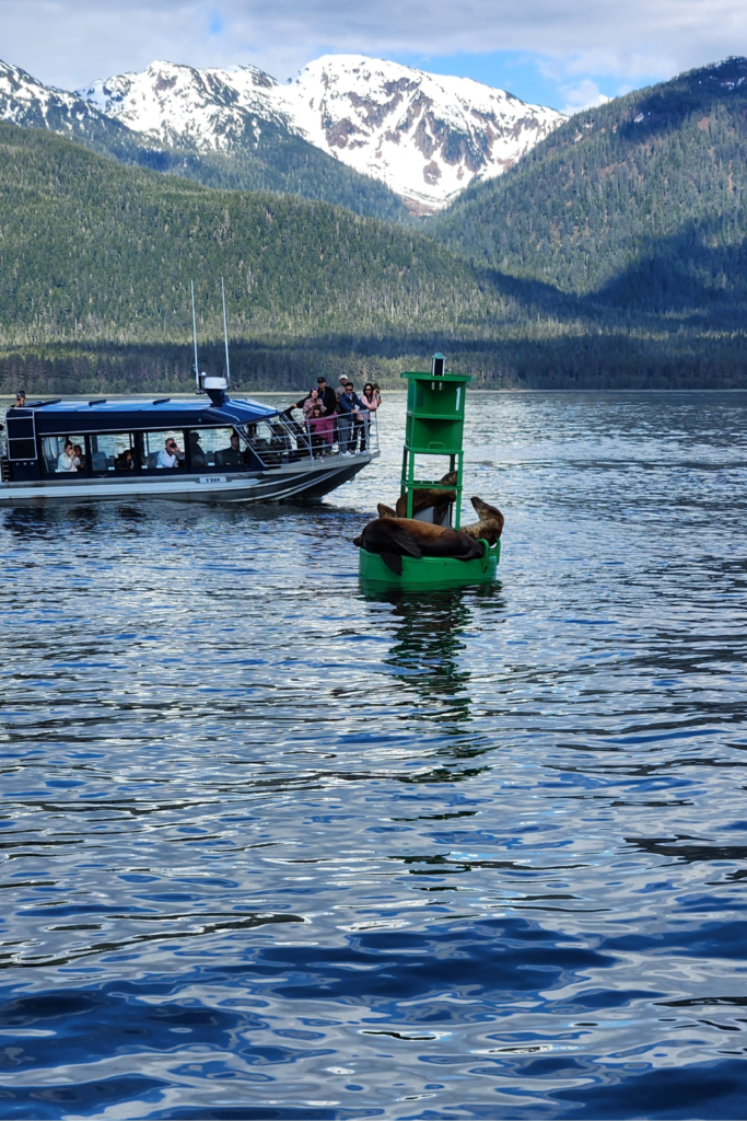 Tour boat on a calm lake with snow-capped mountains in the background.