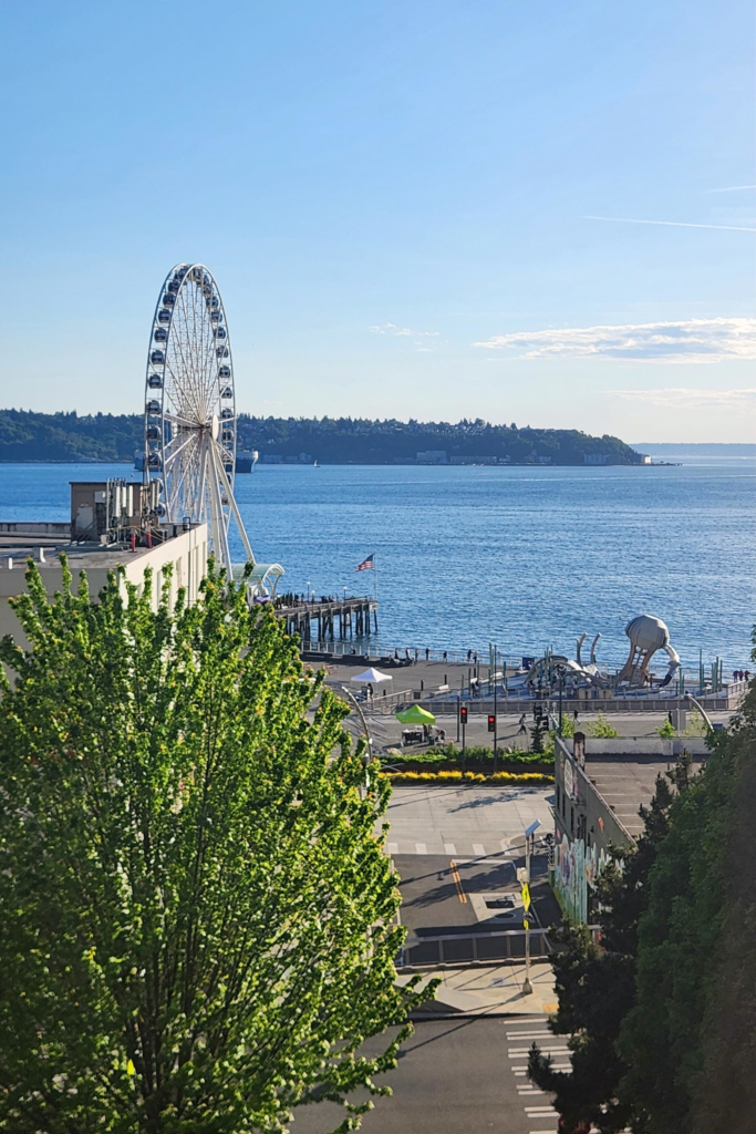 Seattle Great Wheel on Pier 57 overlooking Elliott Bay near the Seattle waterfront.