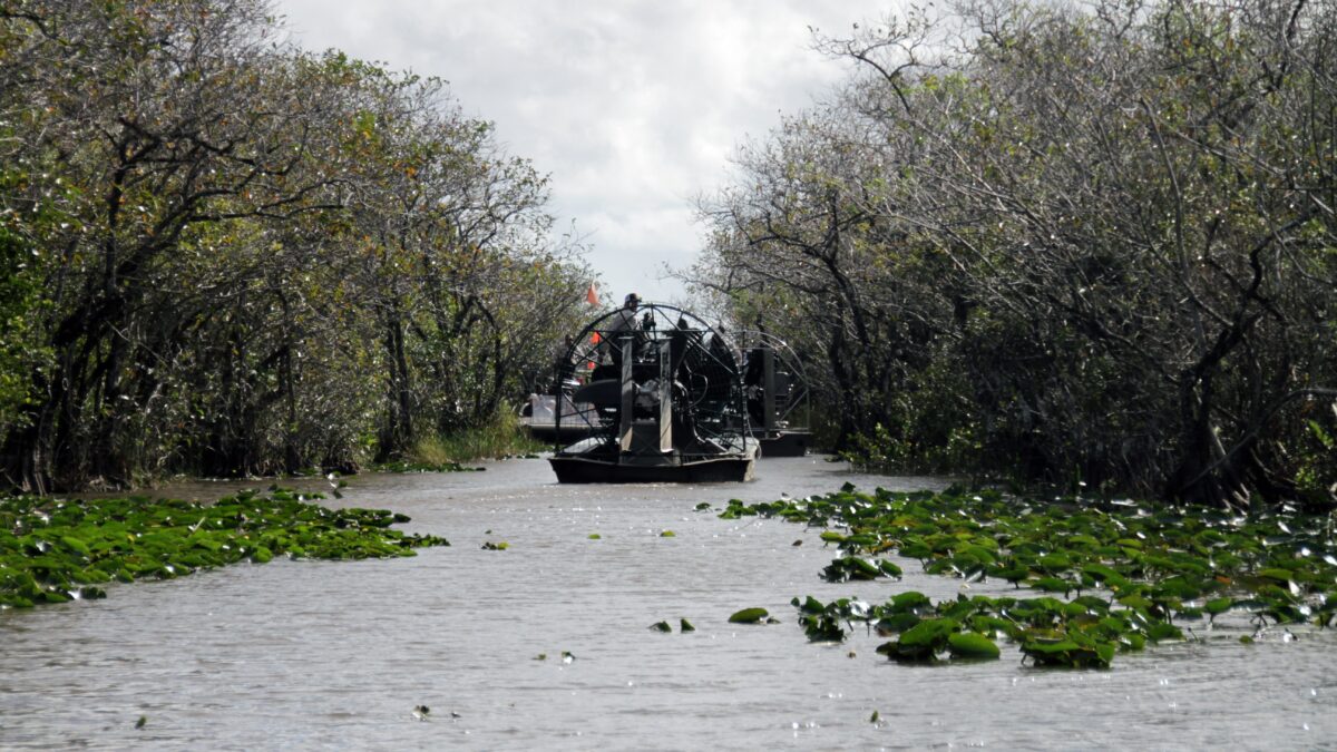 Airboat traveling through an Everglades waterway surrounded by trees and vegetation. Everglades airboat tours from Fort Lauderdale