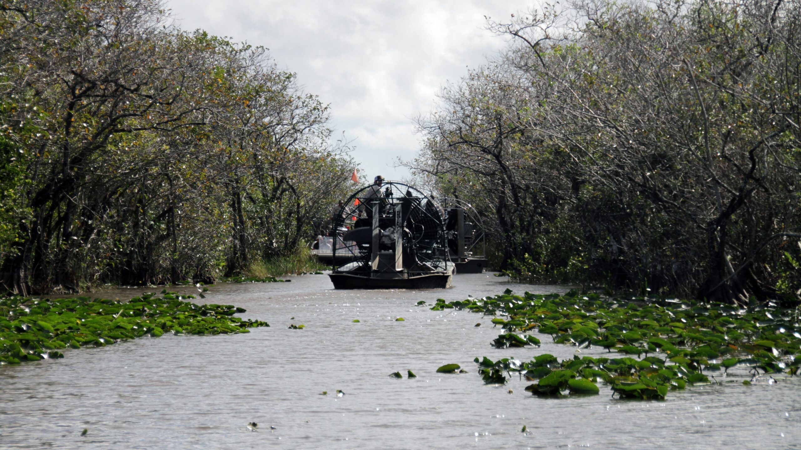 Airboat traveling through an Everglades waterway surrounded by trees and vegetation. Everglades airboat tours from Fort Lauderdale