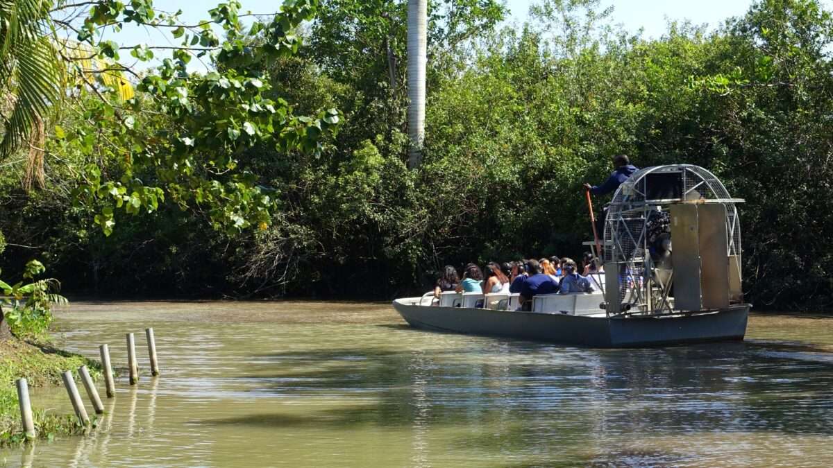 Airboat tour with passengers traveling through a narrow Everglades waterway surrounded by tropical vegetation