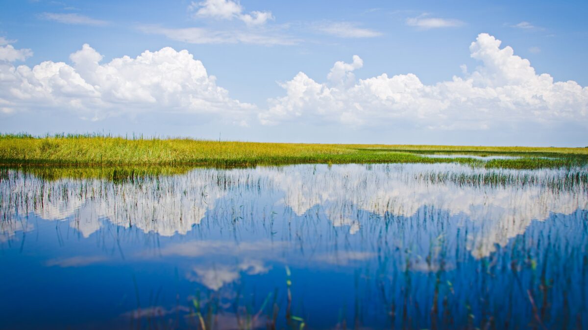 Everglades wetlands reflecting white clouds over sawgrass and open water