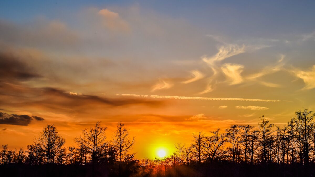 Orange sunset over the Florida Everglades and wetland trees