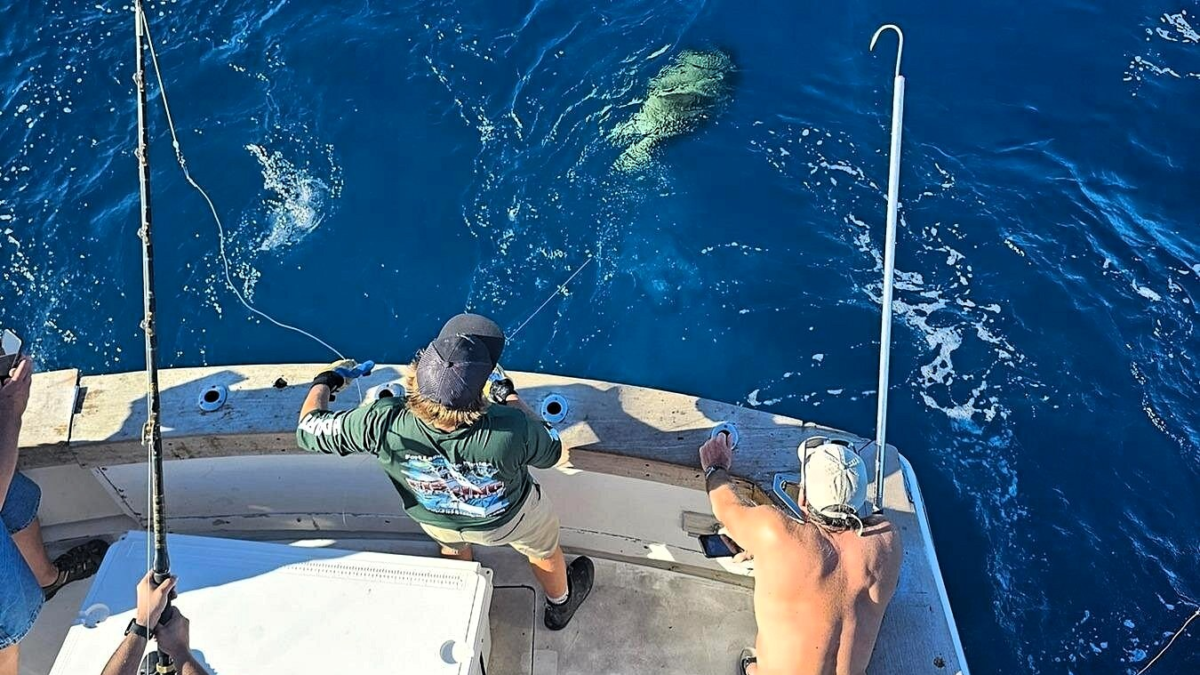 Anglers deep sea fishing from a charter boat off Fort Lauderdale