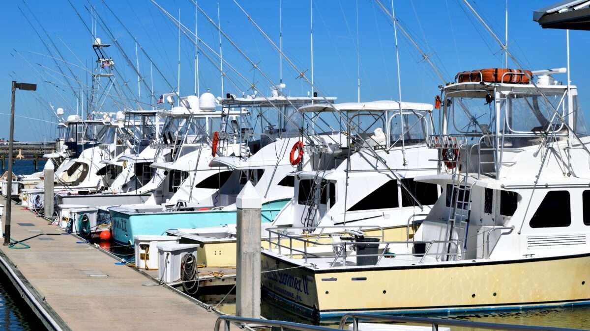 Fishing charter boats docked at a marina in South Florida